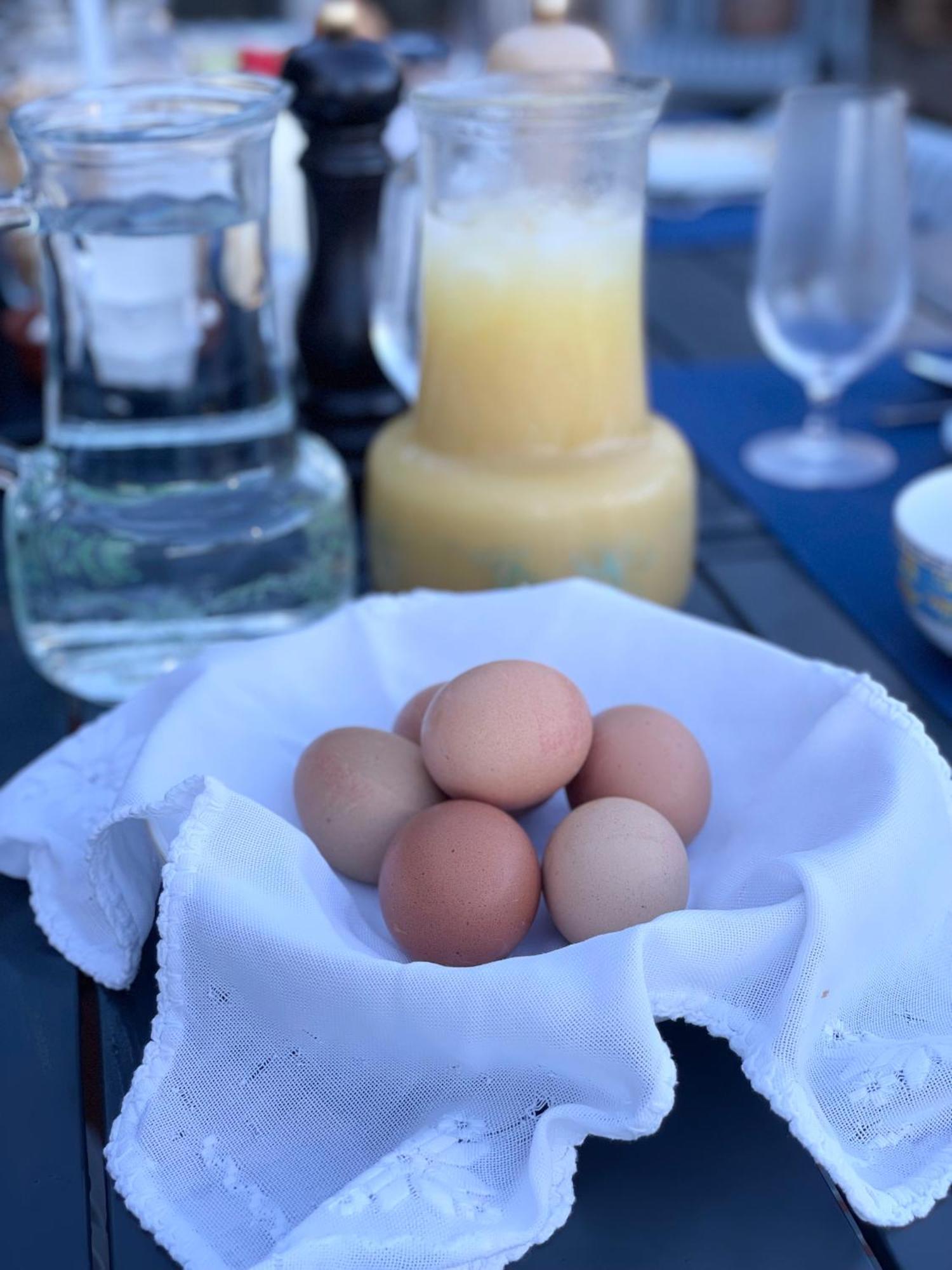 카민하 The Quixote House B&B 외부 사진